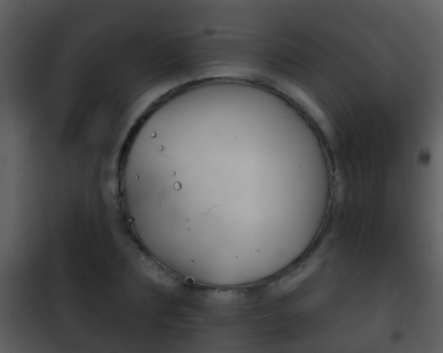 X0000101970883200807180724