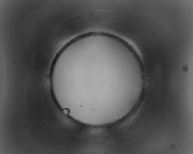 X0000101970887200807180724