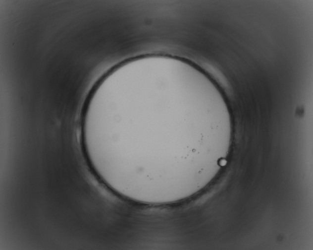X0000101970888200807180724