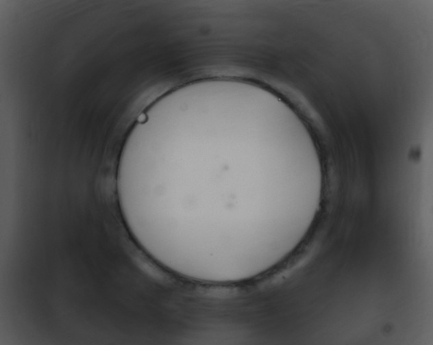 X0000101970889200807180724