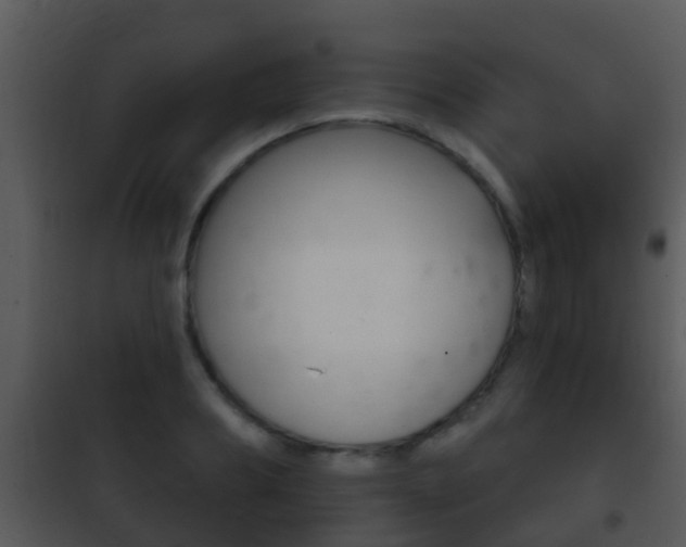 X0000101970890200807180724