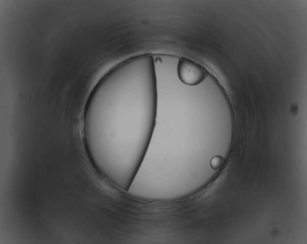 X0000101970891200807180724