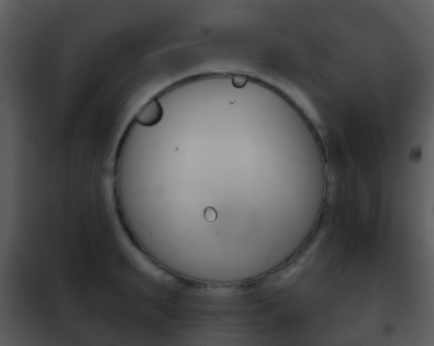 X0000101970895200807180724