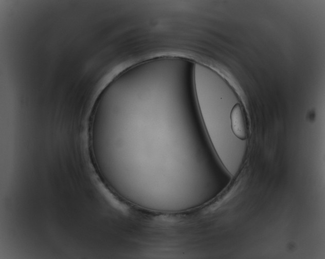 X0000101970898200807180724