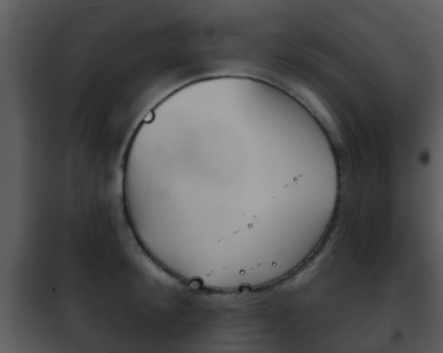 X0000101970900200807180724