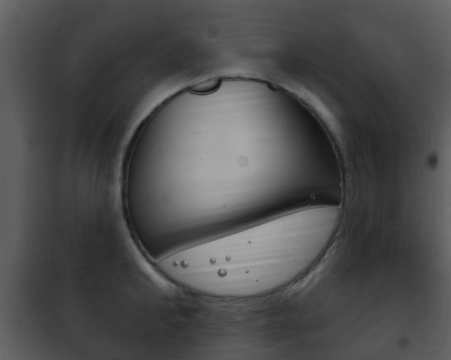 X0000101970902200807180723