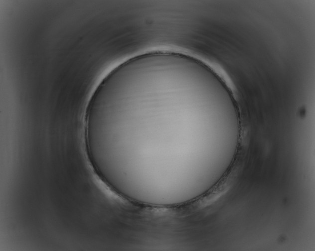 X0000101970903200807180723