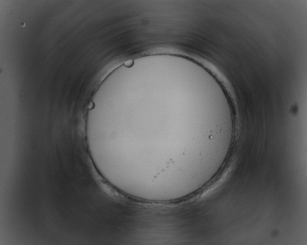 X0000101970905200807180723