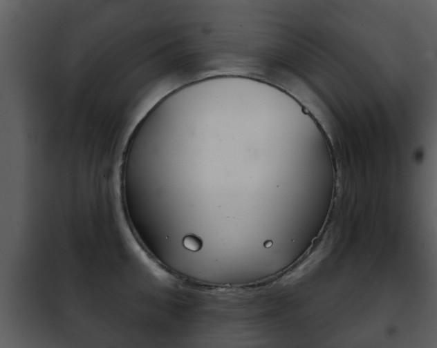 X0000101970906200807180723