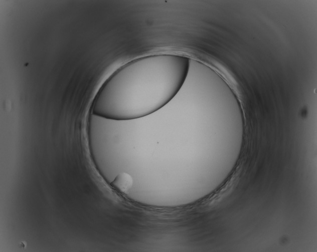 X0000101970907200807180723