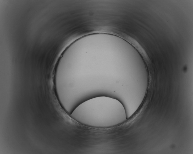 X0000101970908200807180723