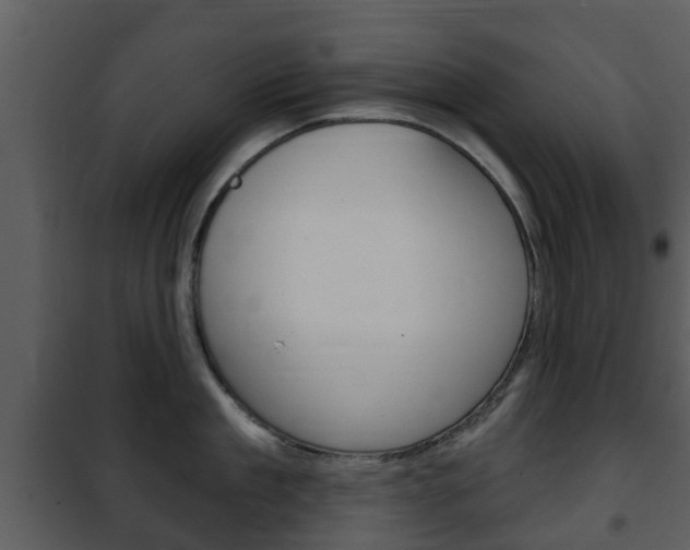 X0000101970909200807180723