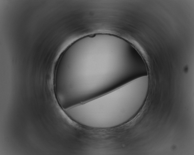 X0000101970910200807180723