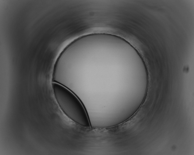 X0000101970912200807180723