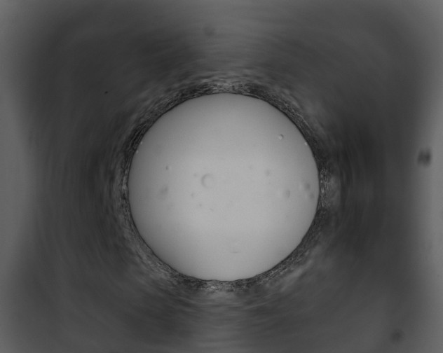 X0000101970913200807180723