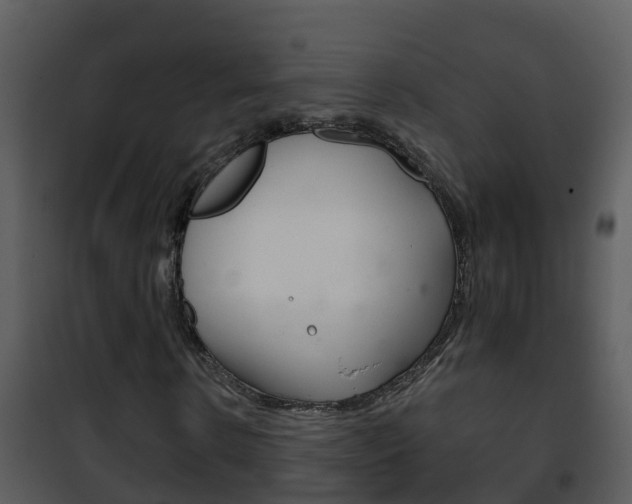X0000101970914200807180723