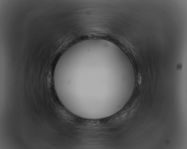 X0000101970915200807180723