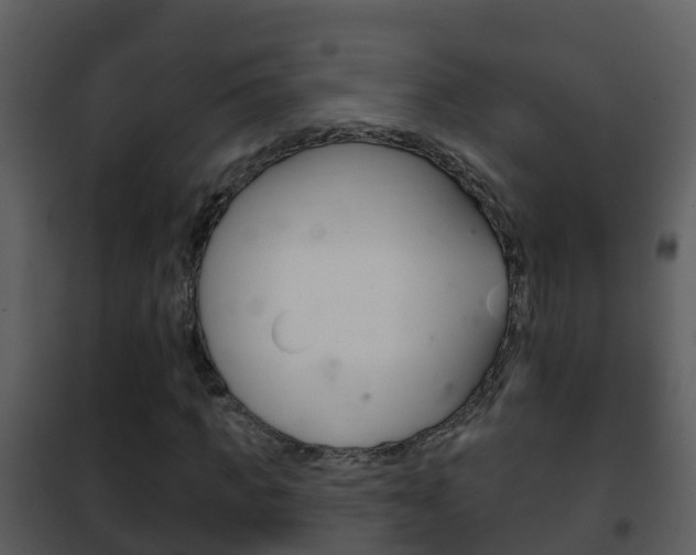 X0000101970917200807180723