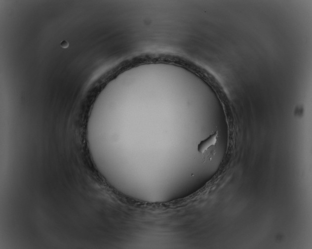 X0000101970919200807180723