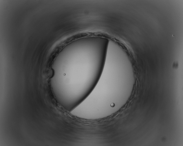 X0000101970920200807180723