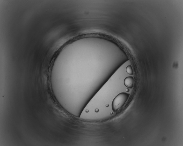 X0000101970921200807180723