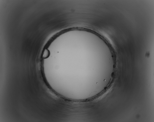 X0000101970924200807180723