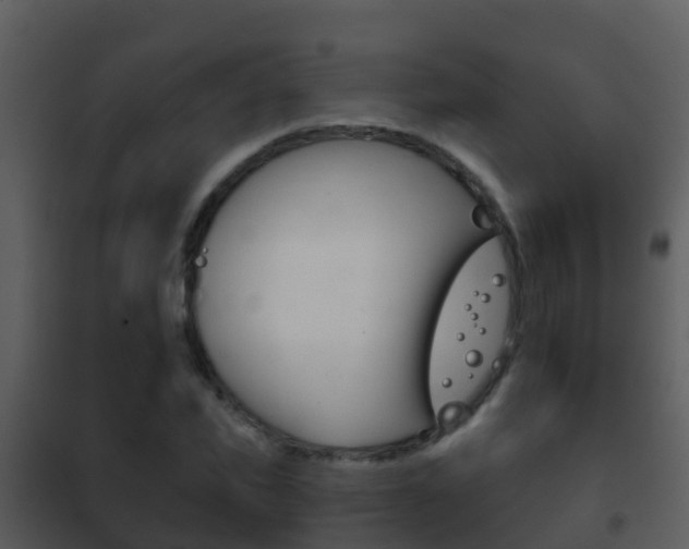 X0000101970925200807180723