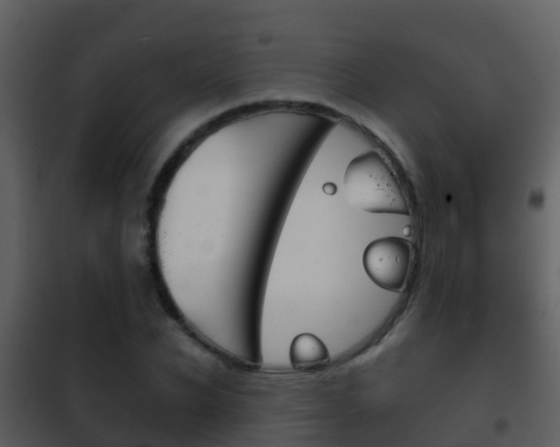 X0000101970926200807180723