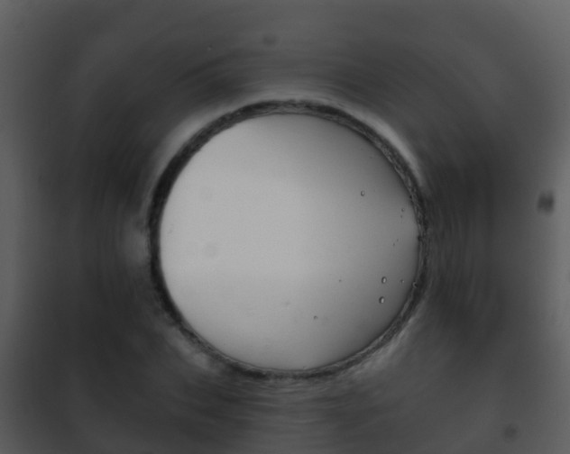 X0000101970927200807180723
