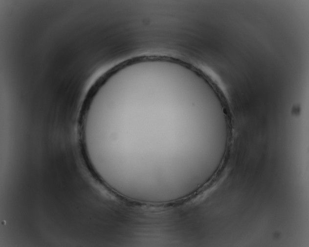 X0000101970928200807180723