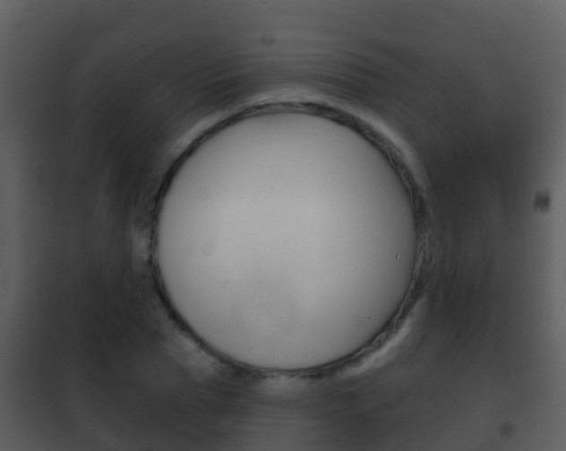 X0000101970929200807180723