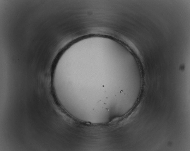 X0000101970931200807180723