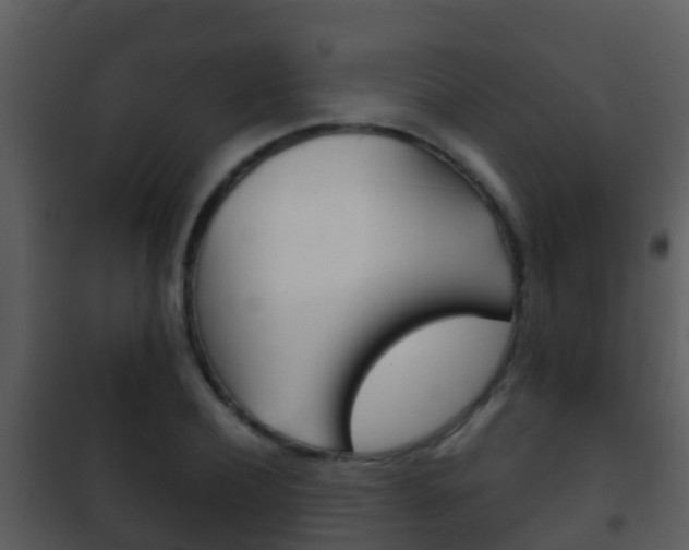 X0000101970932200807180723