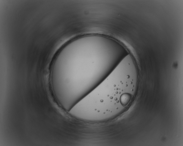 X0000101970933200807180723