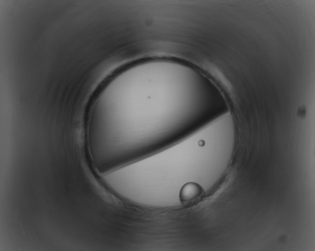 X0000101970934200807180723