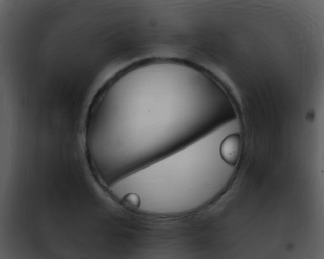 X0000101970935200807180723