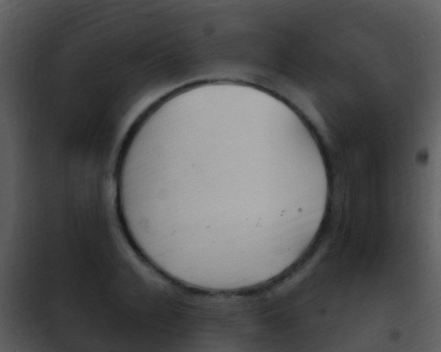 X0000101970936200807180723
