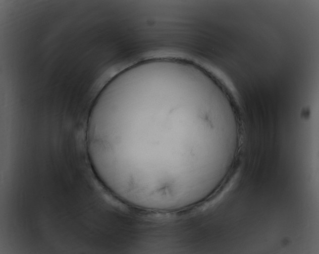 X0000101970937200807180723
