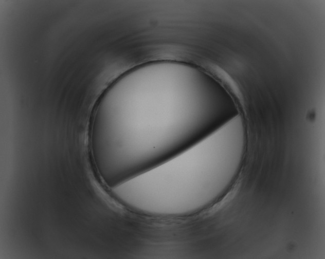 X0000101970938200807180723