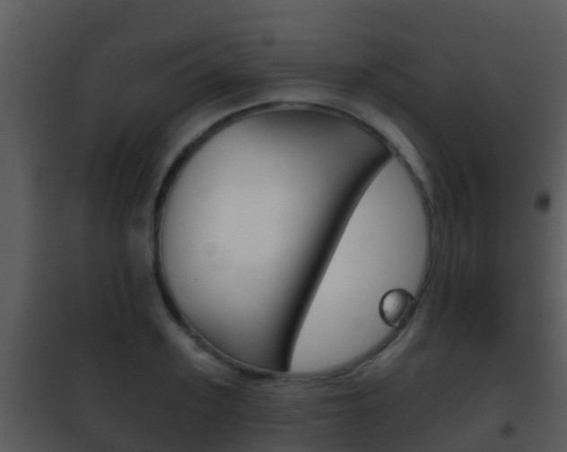 X0000101970939200807180723