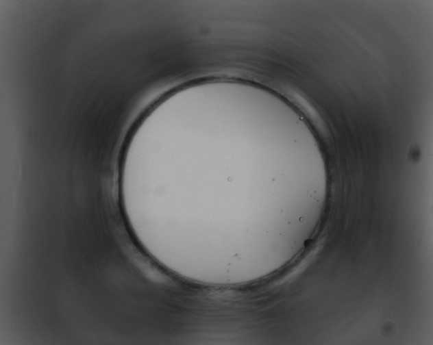 X0000101970940200807180723