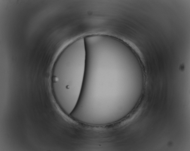 X0000101970941200807180723