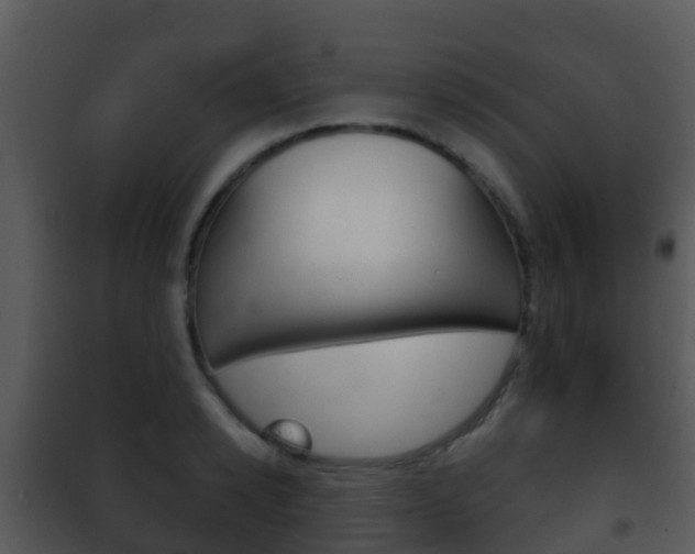 X0000101970942200807180723