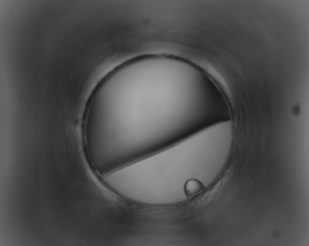 X0000101970943200807180723