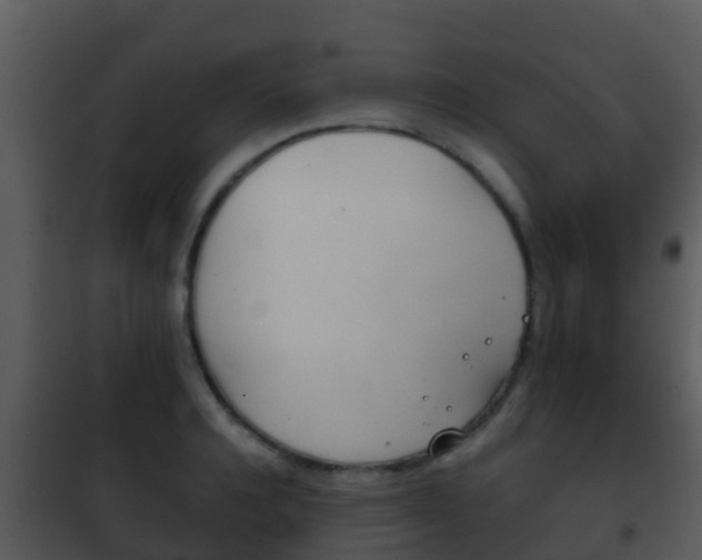 X0000101970944200807180723