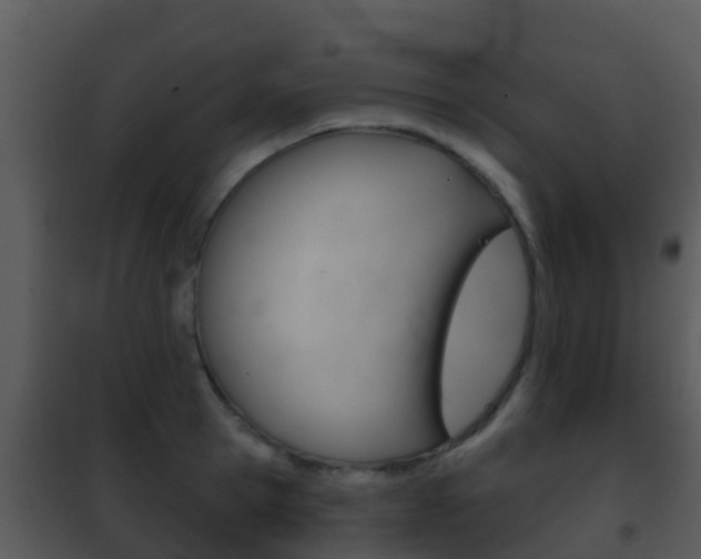 X0000101970945200807180723