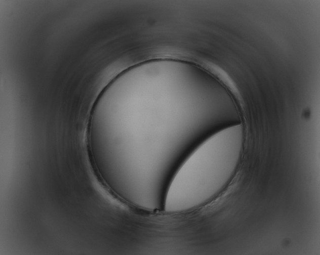 X0000101970946200807180723