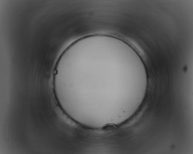 X0000101970948200807180723