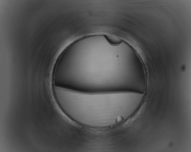 X0000101970949200807180723