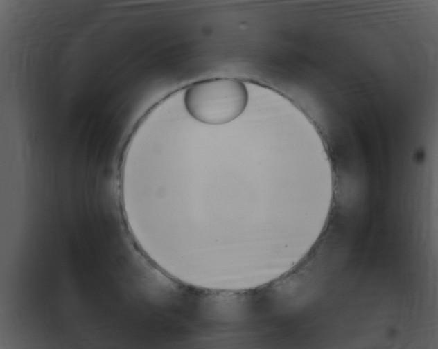 X0000101970950200807180723